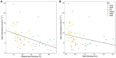 Variation in stem bark conductance to water vapor in Neotropical plant species